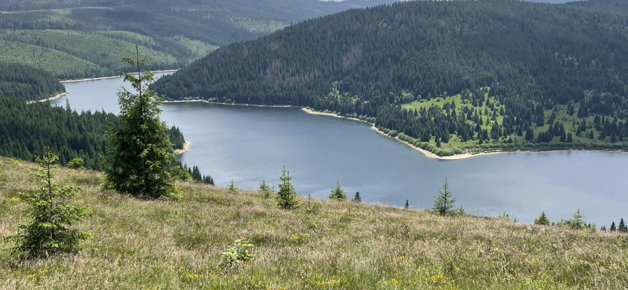Cabana Transilvania Beliş Eksteriør billede